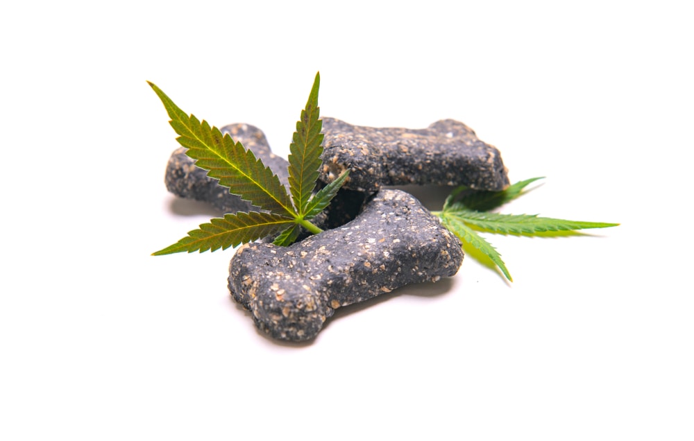 dog treats with cbd and cannabis leaves